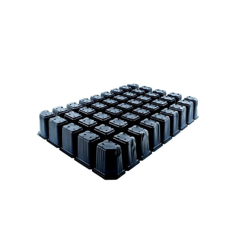 45 Cell Seedling Tray Square