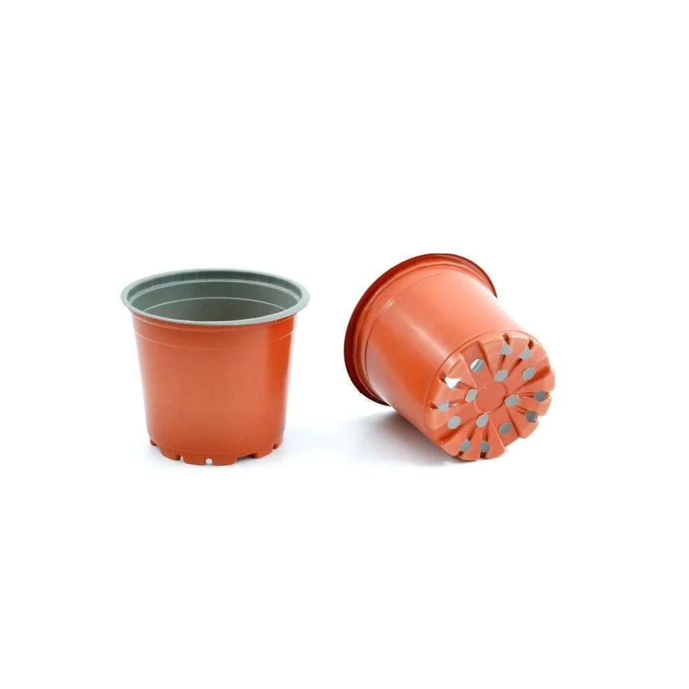 Thermoformed Round Pot S1396