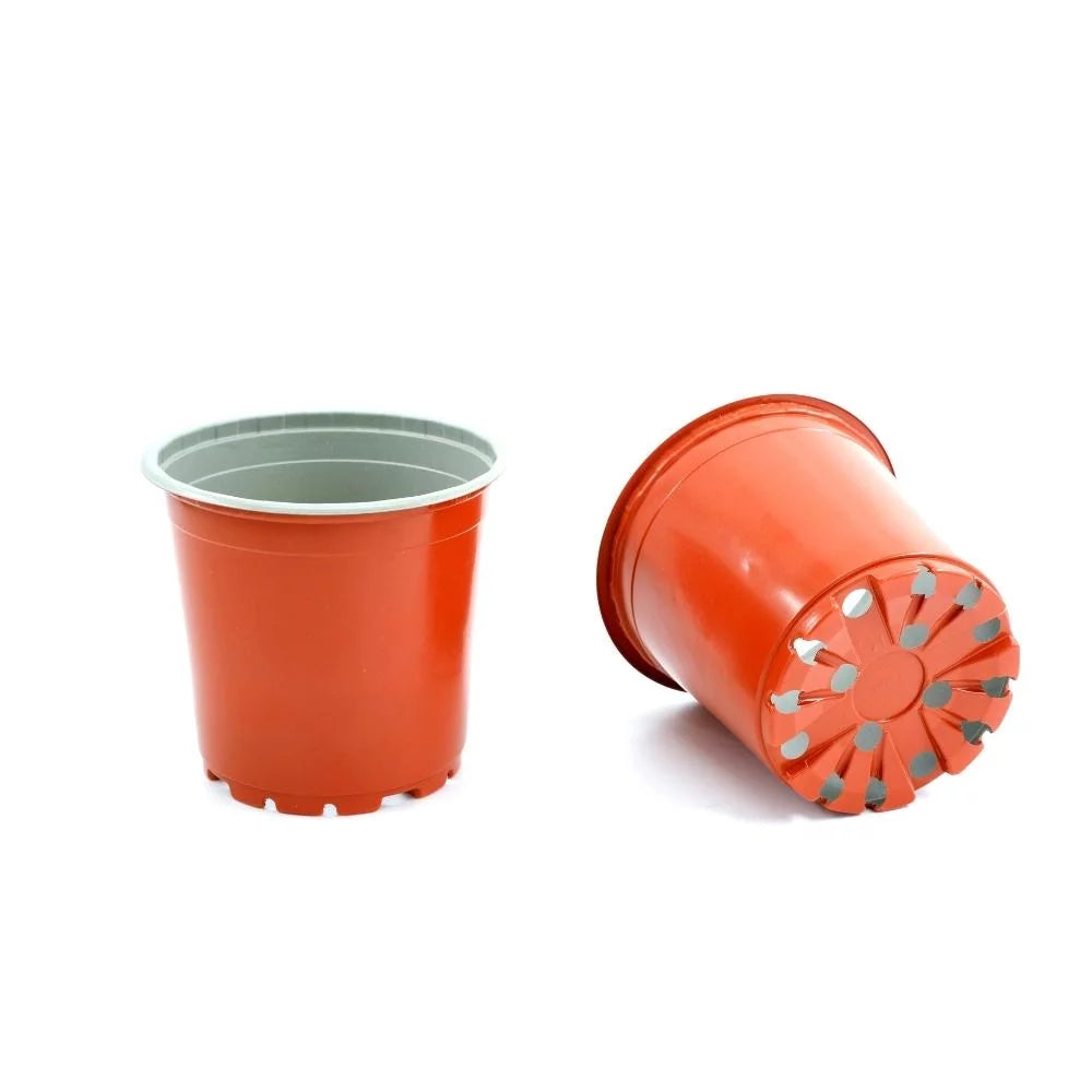 Thermoformed Round Pot S1411