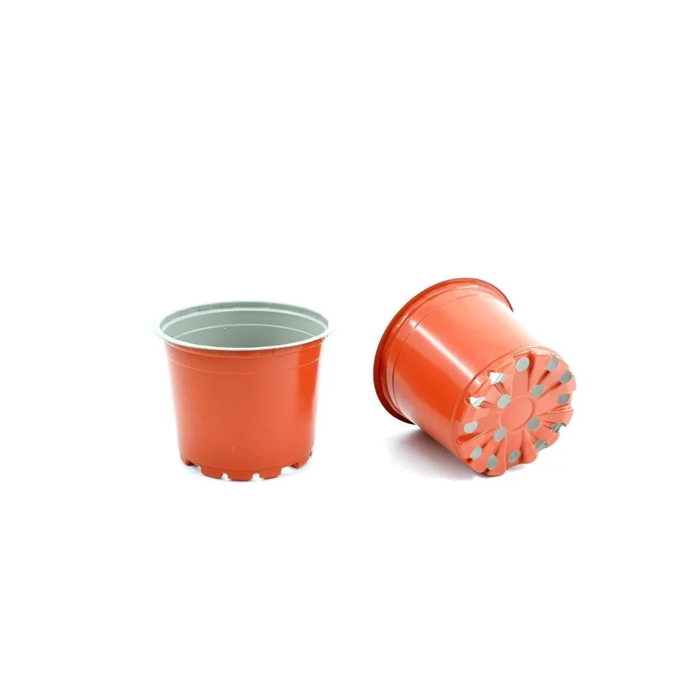 Thermoformed Round Pot S14125