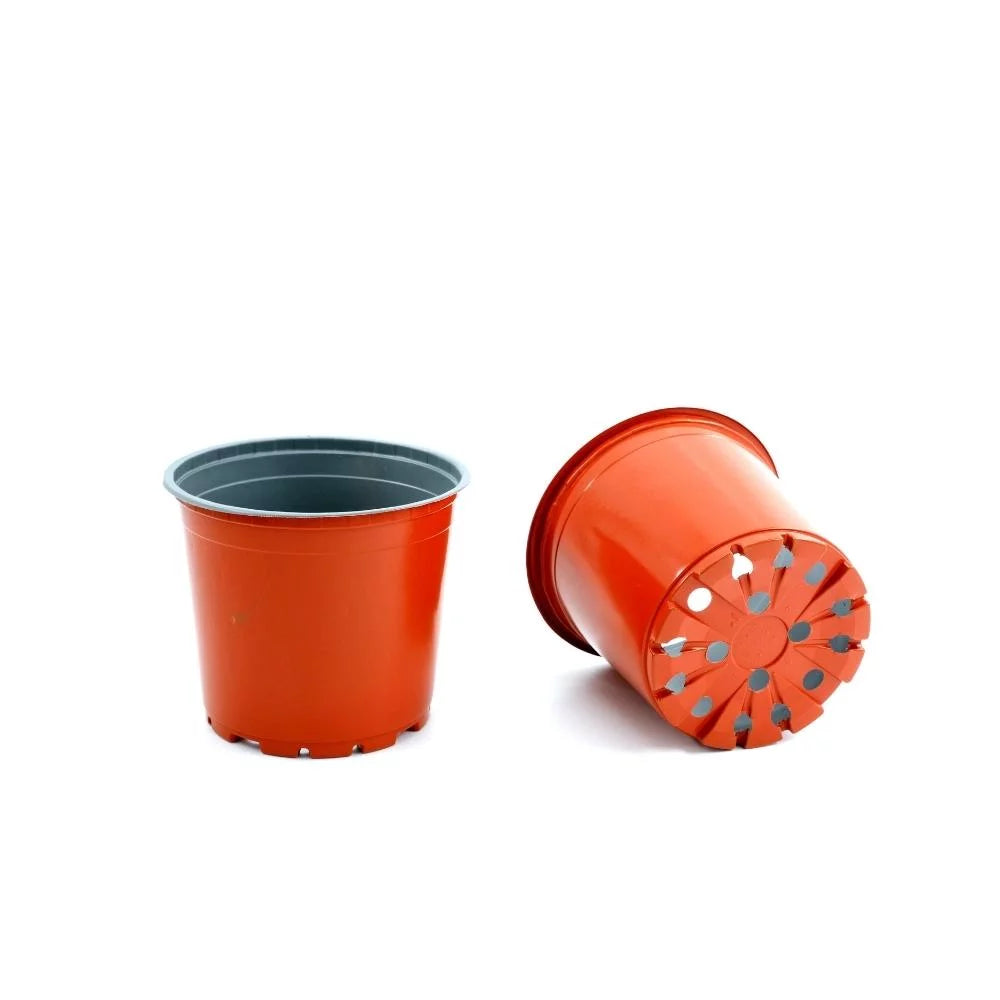 Thermoformed Round Pot S15127